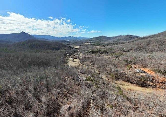 2912 Gribble Edwards Road, Hayesville, NC 28904