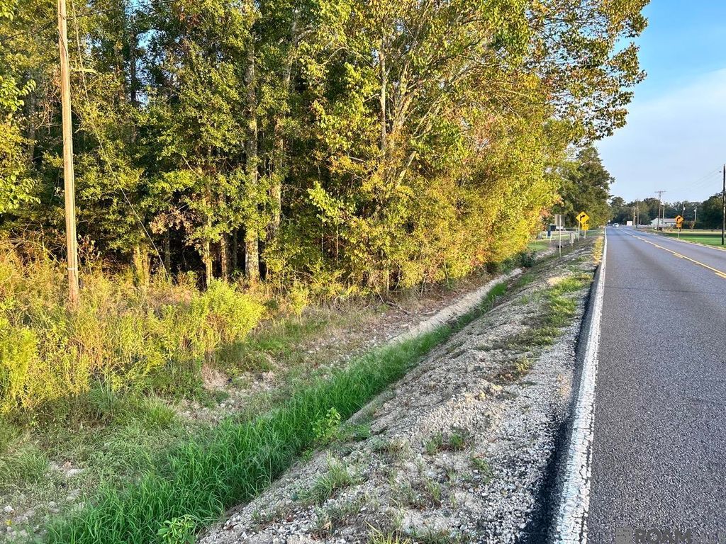TBA 1-A La Hwy 431, Prairieville, LA 70769