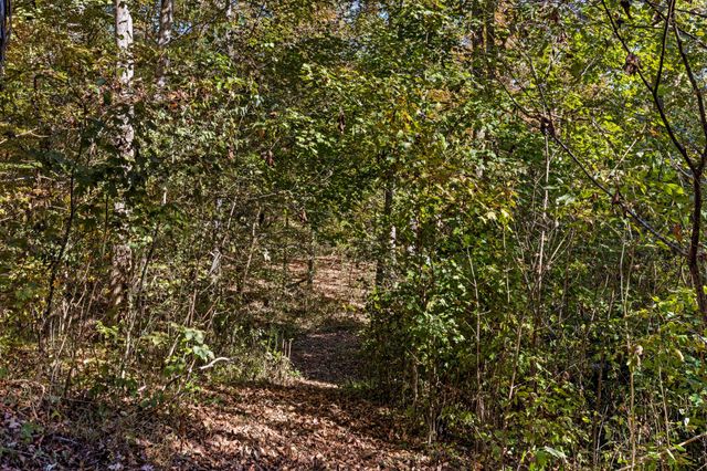 459 Wen Dell Lane, SE, Cleveland, TN 37323