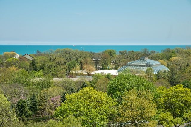 2130 N Lincoln Park West 9N, Chicago, IL 60614