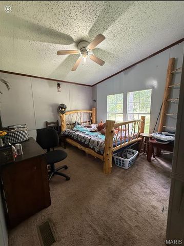 1628 Pendleton Road, Farmington, MO 63640