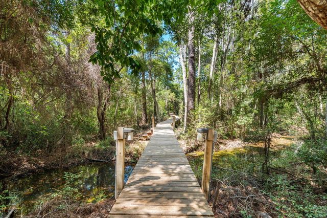 183 Mussett Bayou Court, Santa Rosa Beach, FL 32459