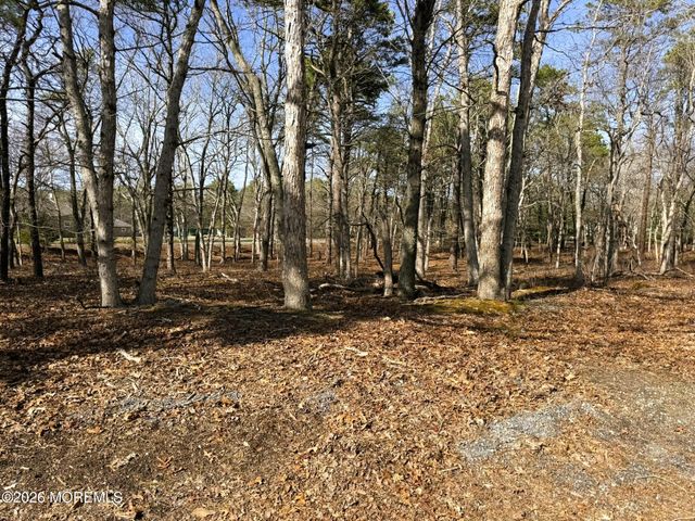 3 Pinewood Drive, Little Egg Harbor, NJ 08087