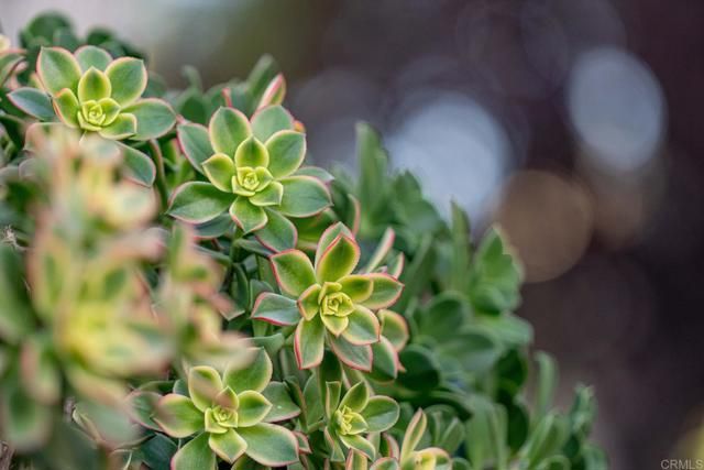 12604 Carmel Country Road 17, San Diego, CA 92130