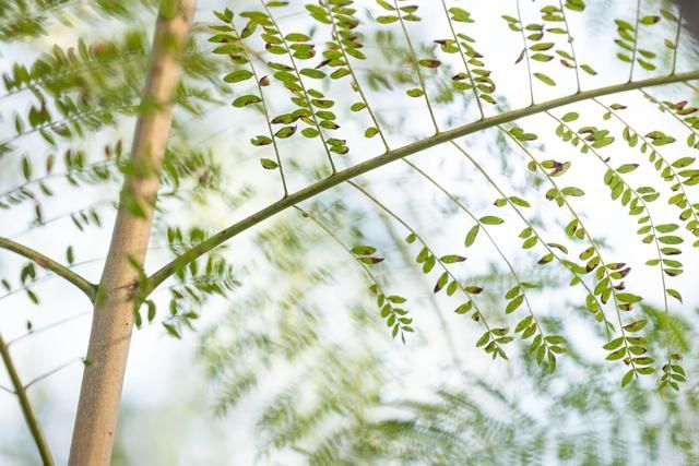 12604 Carmel Country Road 17, San Diego, CA 92130