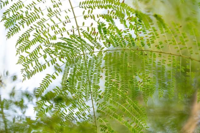 12604 Carmel Country Road 17, San Diego, CA 92130