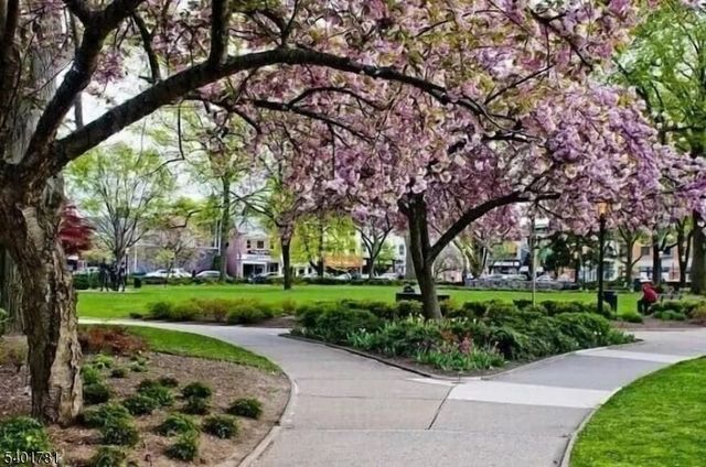 6 Howland Ter, Morris Twp., NJ 07960