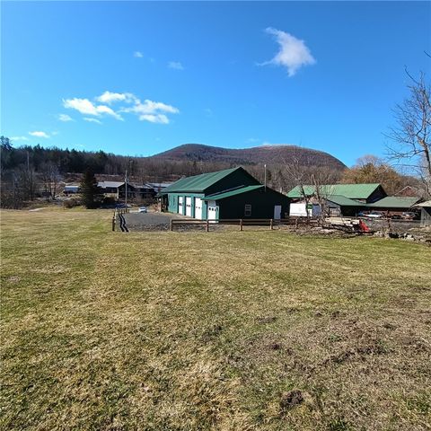 60095 State Highway 30, Roxbury, NY 12474