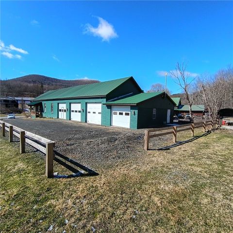 60095 State Highway 30, Roxbury, NY 12474
