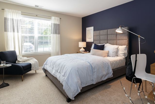 1731 Buttonwood Circle 2913, Schaumburg, IL 60173