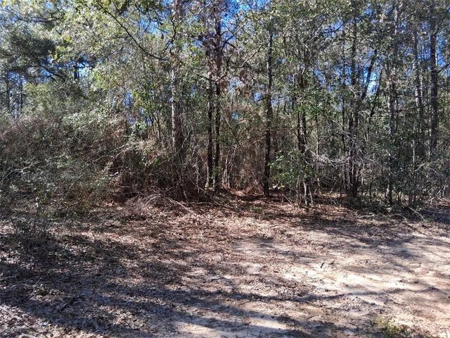 0 Williamson Road, Chunchula, AL 36521