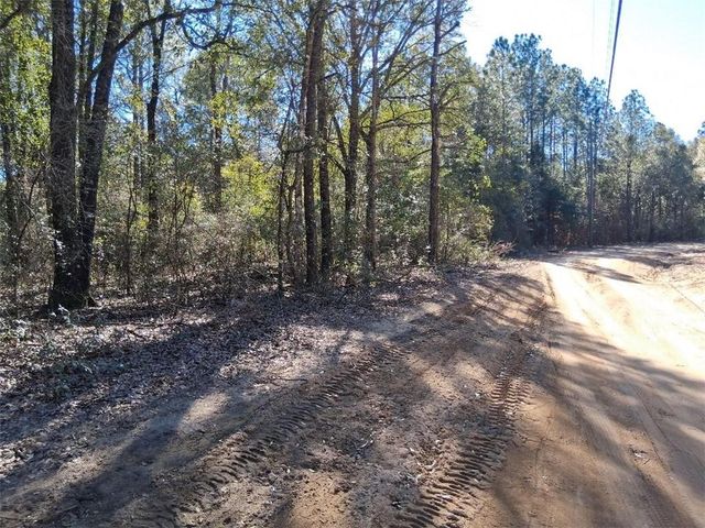 0 Williamson Road, Chunchula, AL 36521