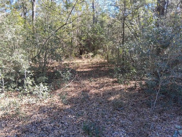 0 Williamson Road, Chunchula, AL 36521