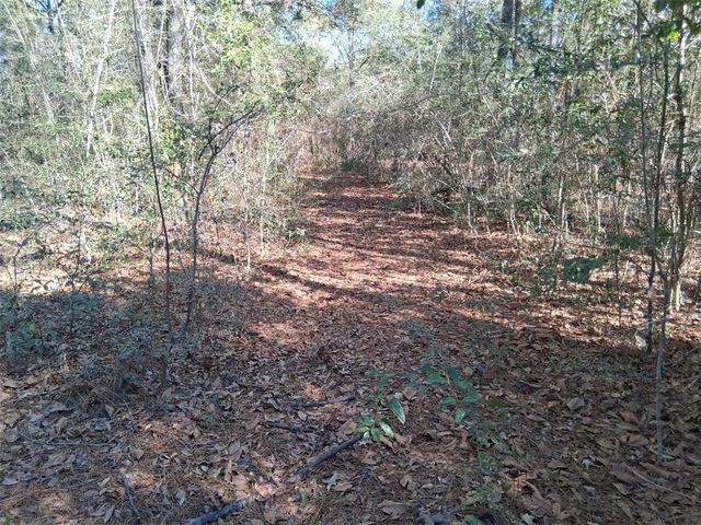 0 Williamson Road, Chunchula, AL 36521