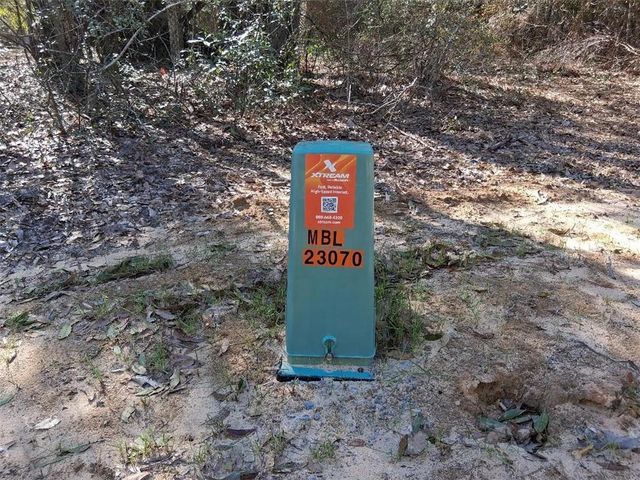 0 Williamson Road, Chunchula, AL 36521