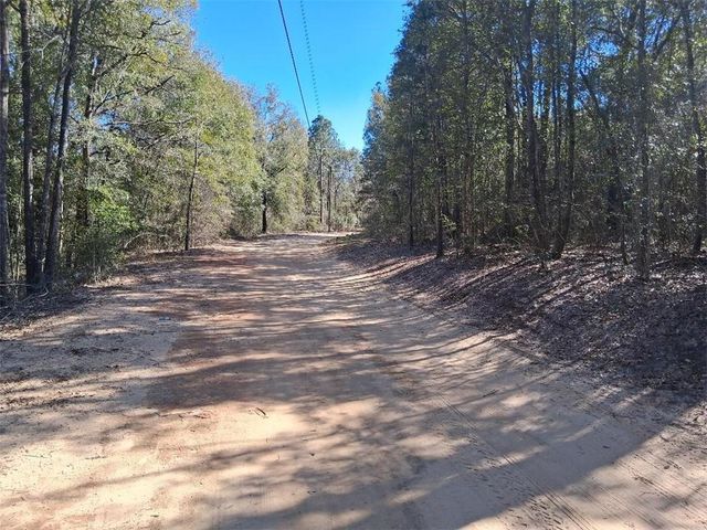 0 Williamson Road, Chunchula, AL 36521