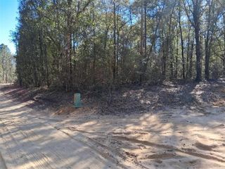 0 Williamson Road, Chunchula, AL 36521