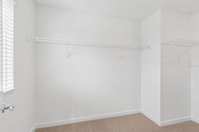 6669 ASBURY BARNES LANE, Wesley Chapel, FL 33545