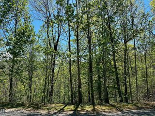 Mountain Dreams Way, Sevierville, TN 37862