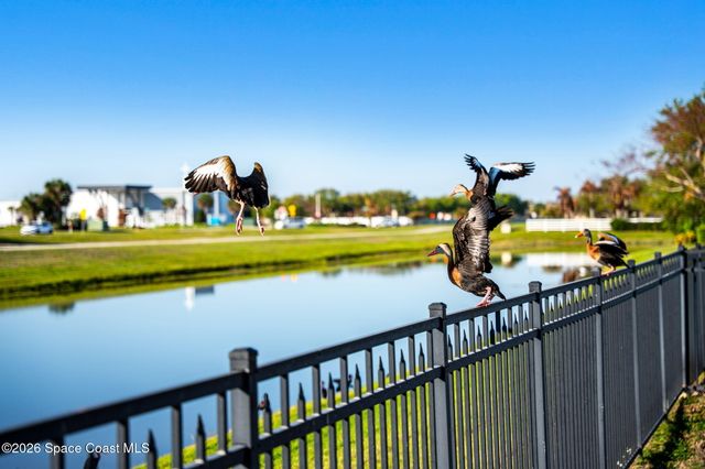 3162 Siderwheel Drive, Rockledge, FL 32955