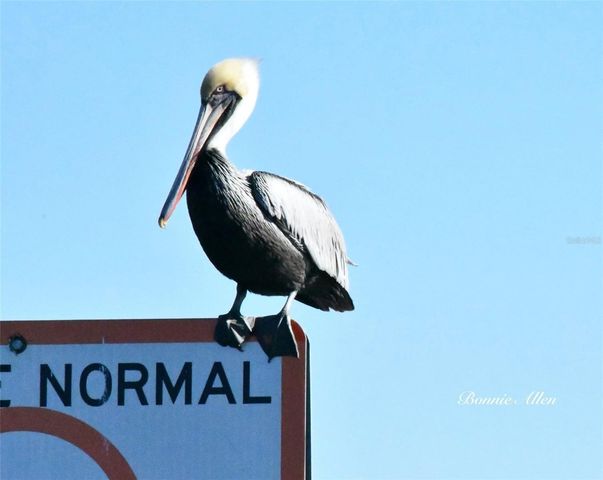 12809 4TH ISLE, Hudson, FL 34667