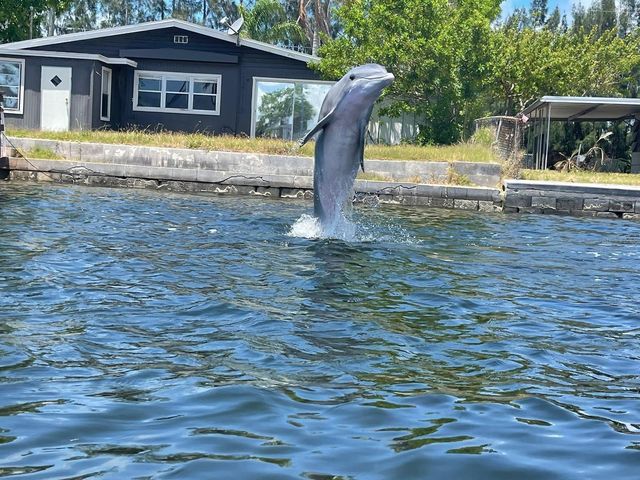 12809 4TH ISLE, Hudson, FL 34667