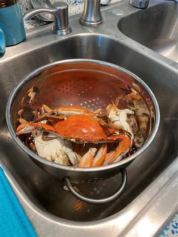 12809 4TH ISLE, Hudson, FL 34667