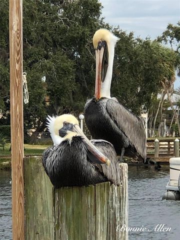 12809 4TH ISLE, Hudson, FL 34667