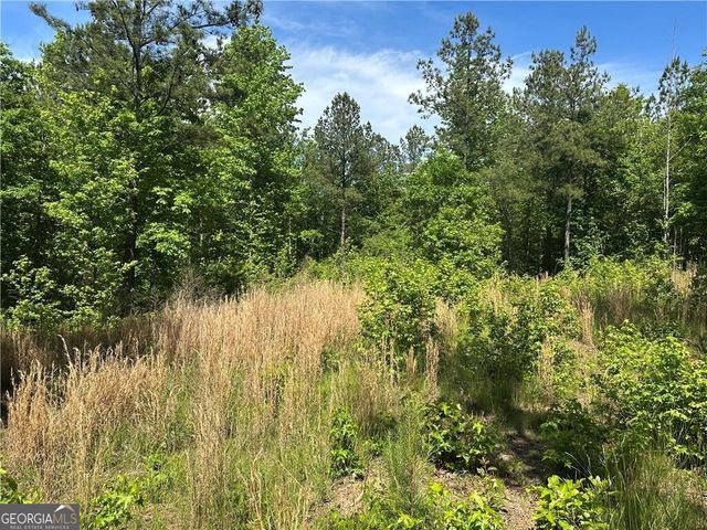 127 Sam Sutton Road NW, Adairsville, GA 30103