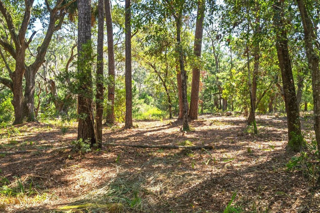 Lot 31 Foredeck Lane, Edisto Island, SC 29438