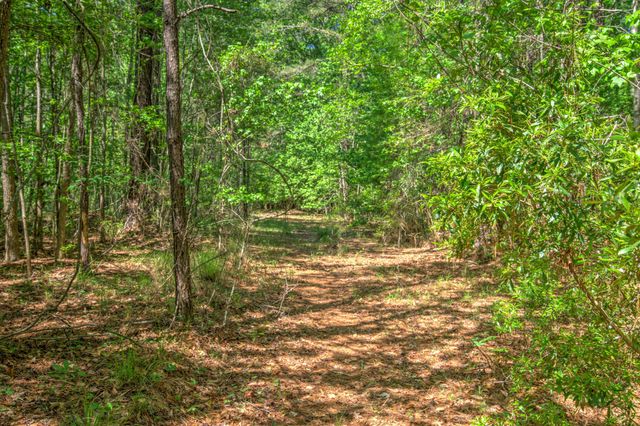 2033 Tacoma Circle, Ridgeville, SC 29472
