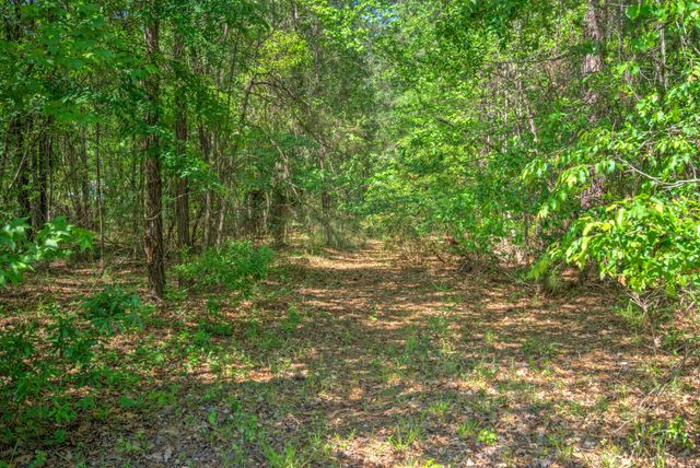 2033 Tacoma Circle, Ridgeville, SC 29472