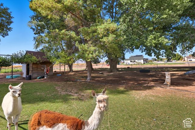 8185 N 4600 W, Elwood, UT 84337