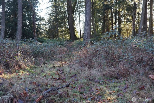 239 SE 238th Street, Maple Valley, WA 98038