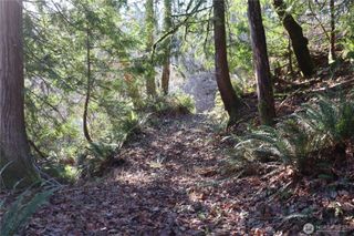 239 SE 238th Street, Maple Valley, WA 98038