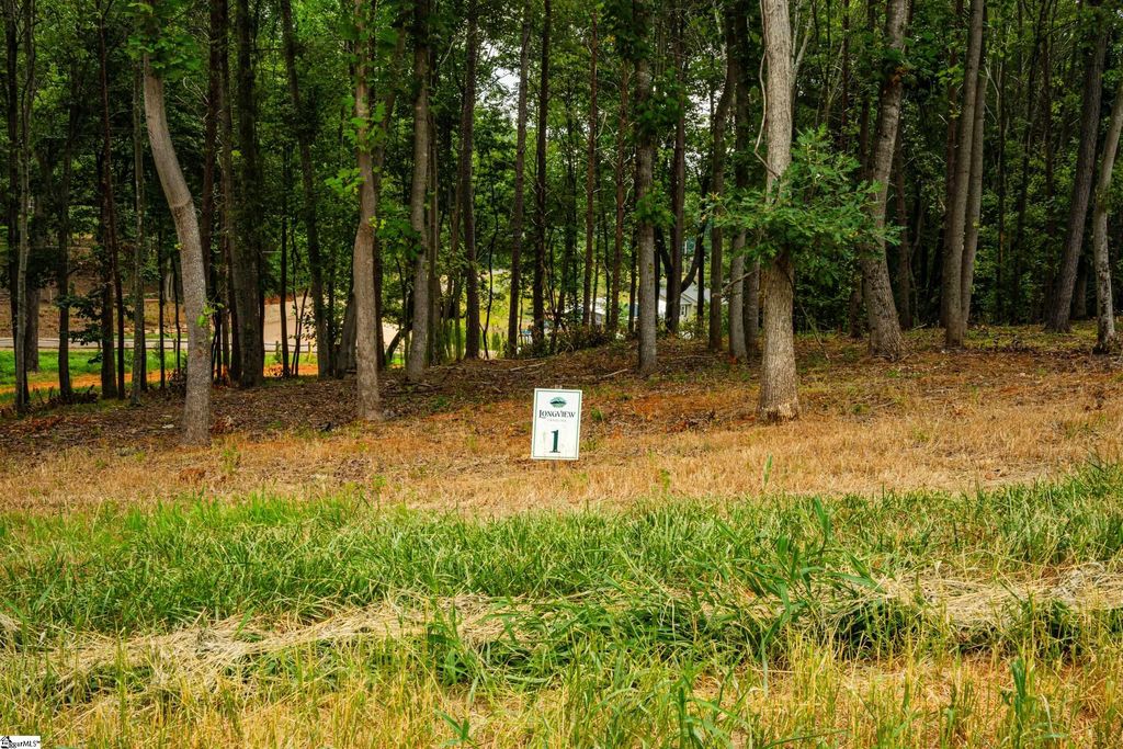 00 Mountain Top Trail, Easley, SC 29640