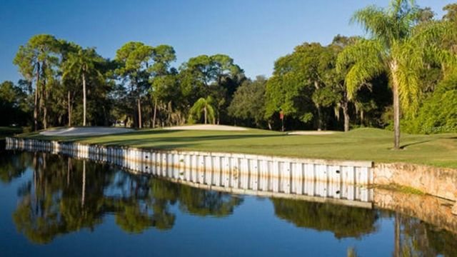 112 CYPRESS COURT 112, Oldsmar, FL 34677