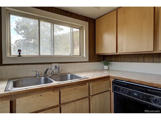 60 Smith Rd, Bailey, CO 80421