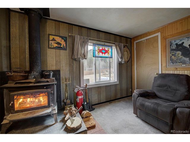60 Smith Rd, Bailey, CO 80421