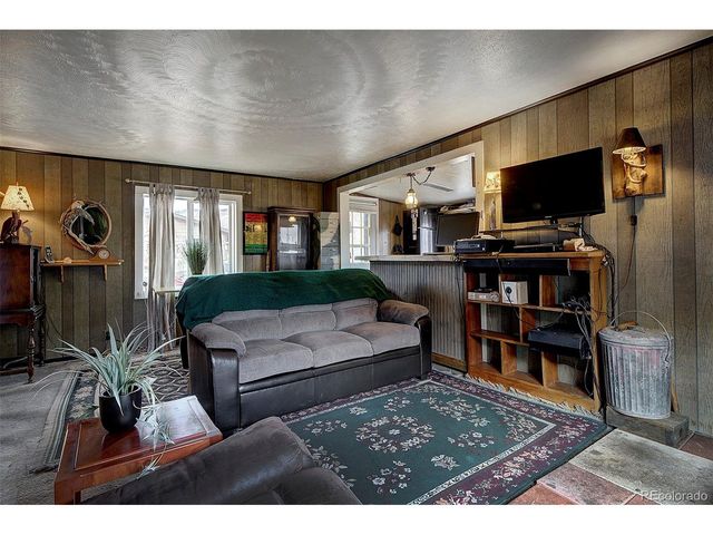 60 Smith Rd, Bailey, CO 80421