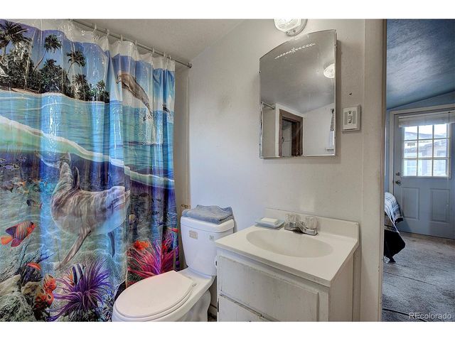 60 Smith Rd, Bailey, CO 80421