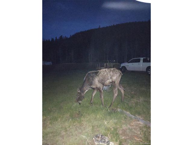 60 Smith Rd, Bailey, CO 80421