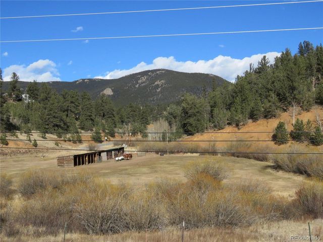 60 Smith Rd, Bailey, CO 80421