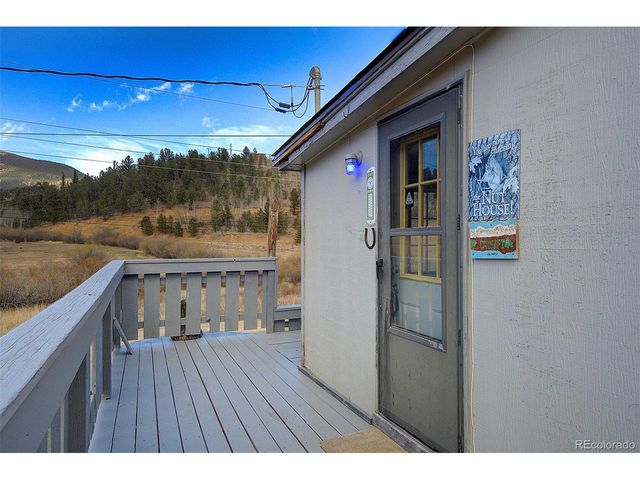 60 Smith Rd, Bailey, CO 80421