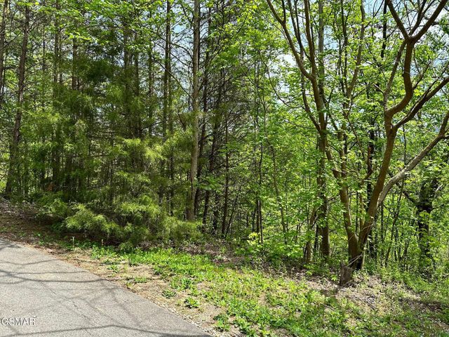 1430 Mountain Dreams Way, Sevierville, TN 37862