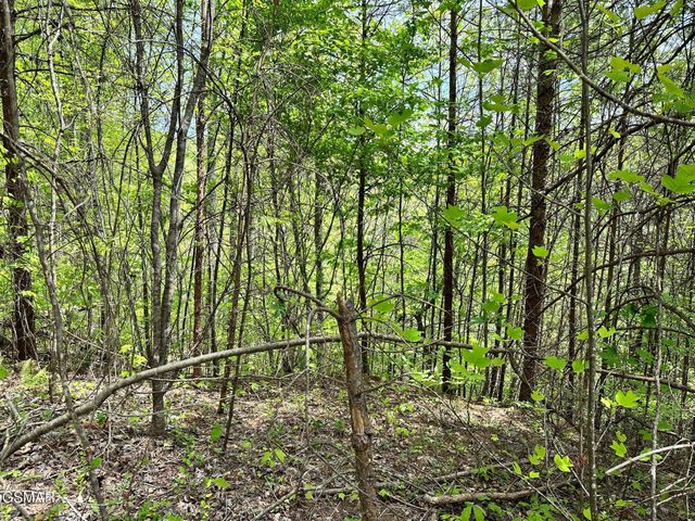 1430 Mountain Dreams Way, Sevierville, TN 37862