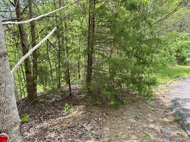 1430 Mountain Dreams Way, Sevierville, TN 37862