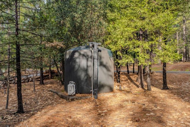 25630 Overland Dr, Volcano, CA 95689