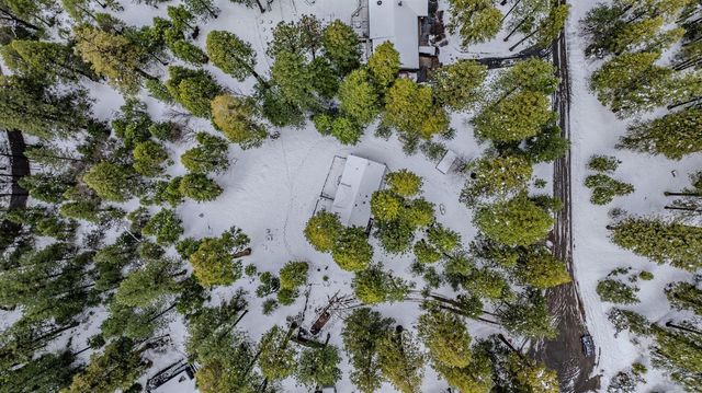 25630 Overland Dr, Volcano, CA 95689