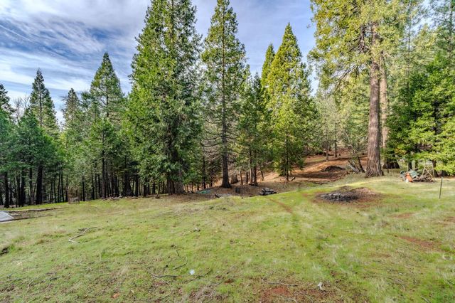 25630 Overland Dr, Volcano, CA 95689